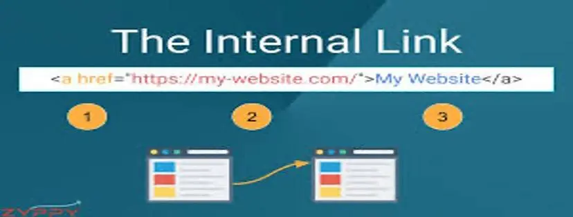 Schema markup and structured data for search engines