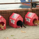 Opera Air Kitty Project